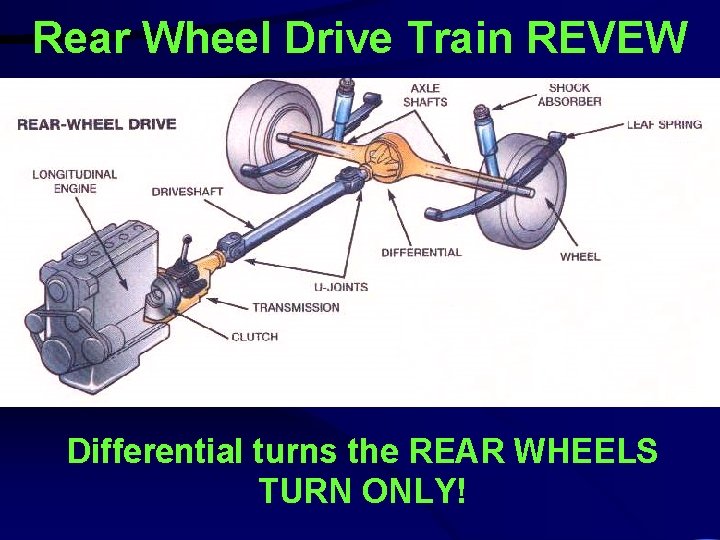 Rear Wheel Drive Train REVEW Differential turns the REAR WHEELS TURN ONLY! 