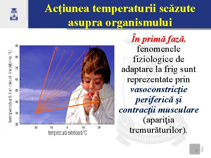 Acţiunea temperaturii scăzute asupra organismului În primă fază, fenomenele fiziologice de adaptare la frig