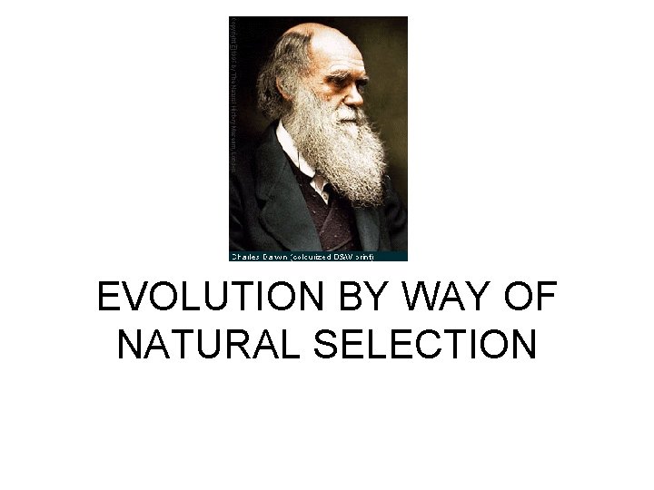 EVOLUTION BY WAY OF NATURAL SELECTION 