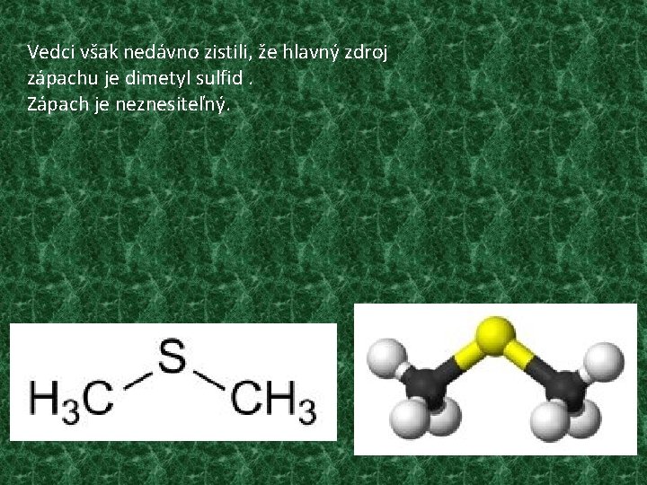 Vedci však nedávno zistili, že hlavný zdroj zápachu je dimetyl sulfid. Zápach je neznesiteľný.