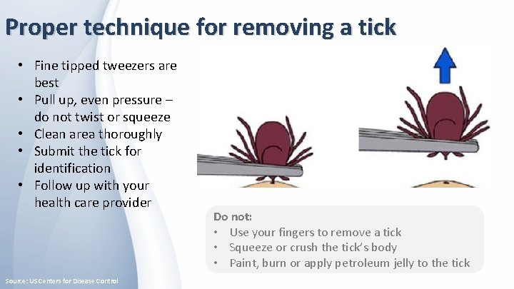 Proper technique for removing a tick • Fine tipped tweezers are best • Pull