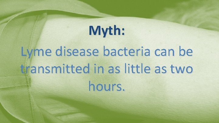 Myth: Lyme disease bacteria can be transmitted in as little as two hours. 