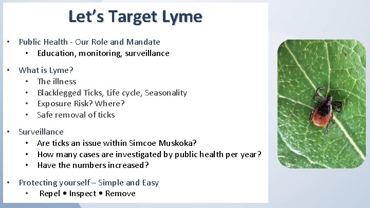 Let’s Target Lyme • Public Health - Our Role and Mandate • Education, monitoring,