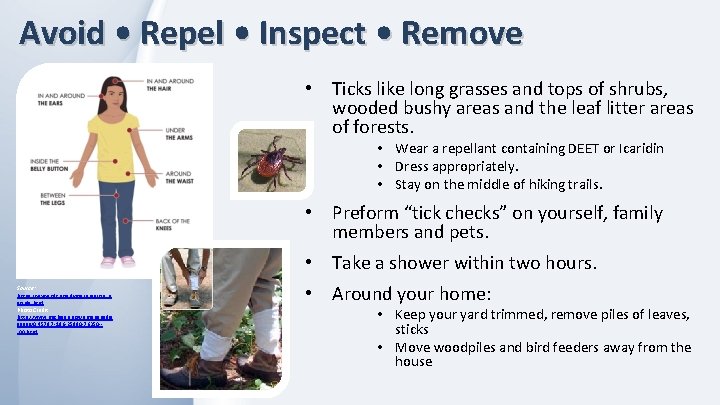 Avoid • Repel • Inspect • Remove • Ticks like long grasses and tops