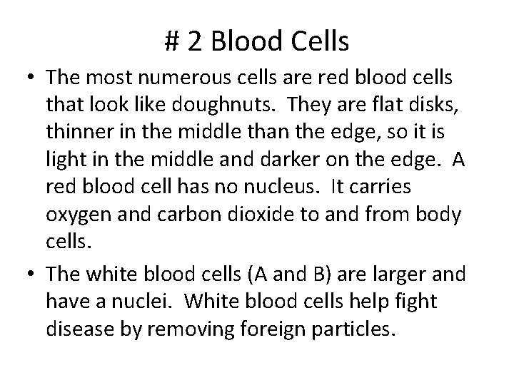 # 2 Blood Cells • The most numerous cells are red blood cells that # 2 Blood Cells • The most numerous cells are red blood cells that