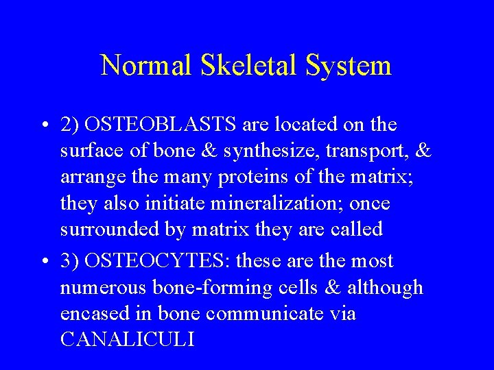 Normal Skeletal System • 2) OSTEOBLASTS are located on the surface of bone &