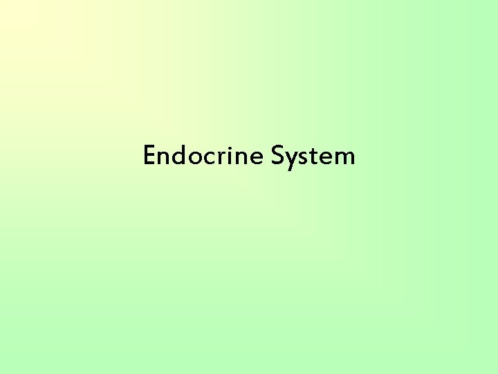 Endocrine System 