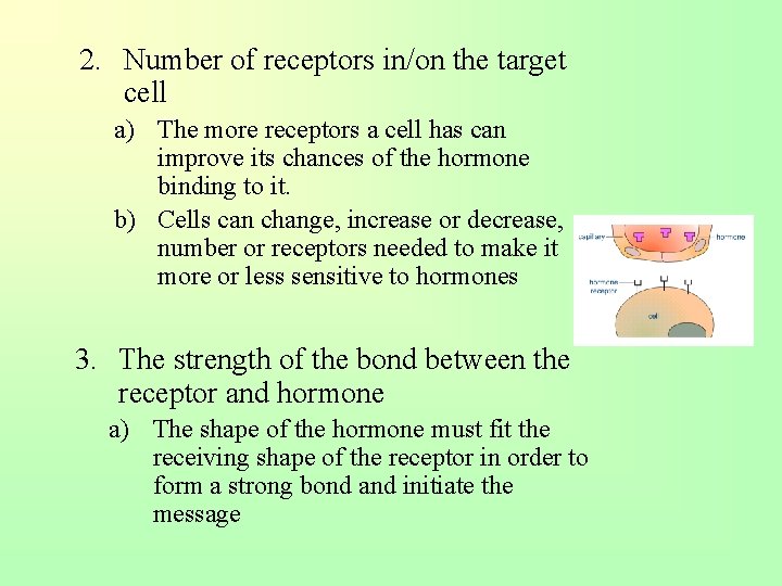 2. Number of receptors in/on the target cell a) The more receptors a cell