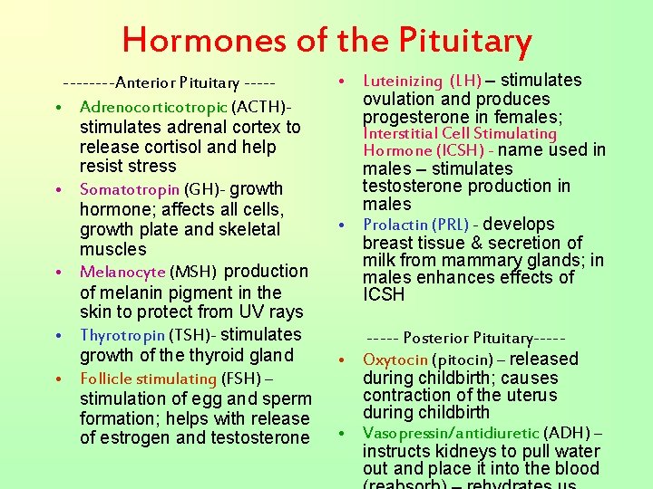 Hormones of the Pituitary ----Anterior Pituitary ---- • Adrenocorticotropic (ACTH)stimulates adrenal cortex to release