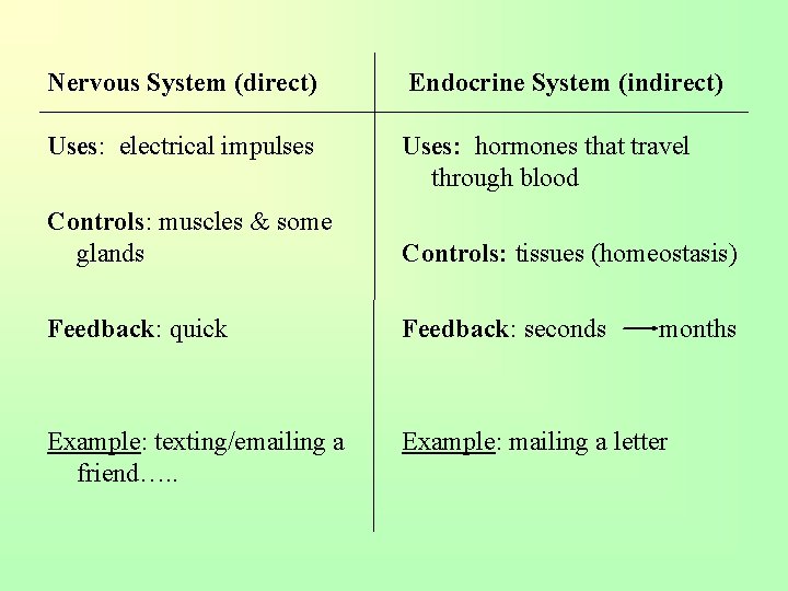 Nervous System (direct) Endocrine System (indirect) Uses: electrical impulses Uses: hormones that travel through