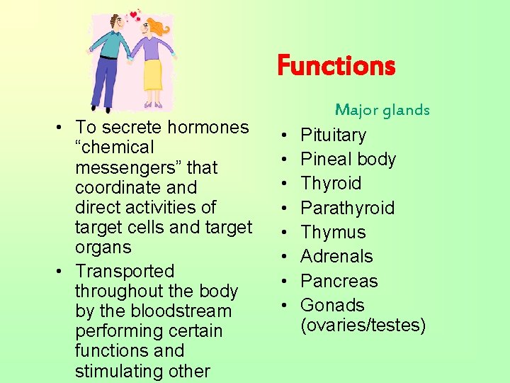 Functions • To secrete hormones “chemical messengers” that coordinate and direct activities of target