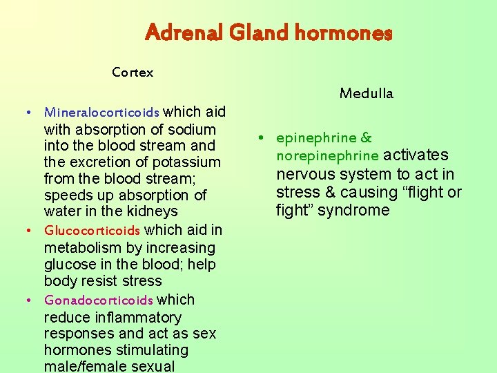 Adrenal Gland hormones Cortex • Mineralocorticoids which aid with absorption of sodium into the