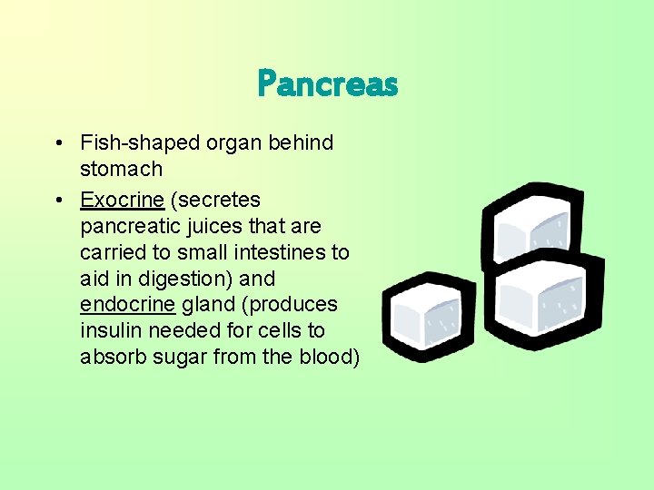 Pancreas • Fish-shaped organ behind stomach • Exocrine (secretes pancreatic juices that are carried