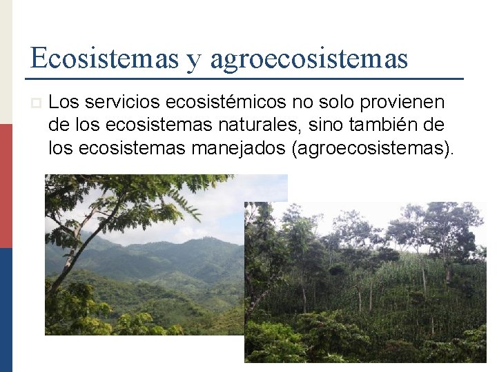 Ecosistemas y agroecosistemas p Los servicios ecosistémicos no solo provienen de los ecosistemas naturales,