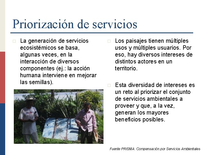 Priorización de servicios p La generación de servicios ecosistémicos se basa, algunas veces, en