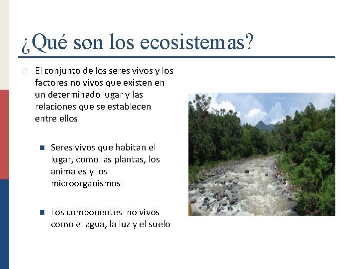 ¿Qué son los ecosistemas? p El conjunto de los seres vivos y los factores