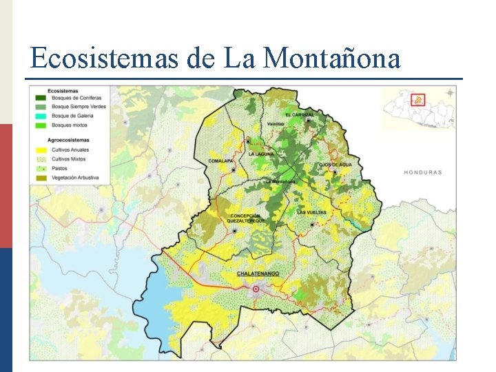 Ecosistemas de La Montañona 