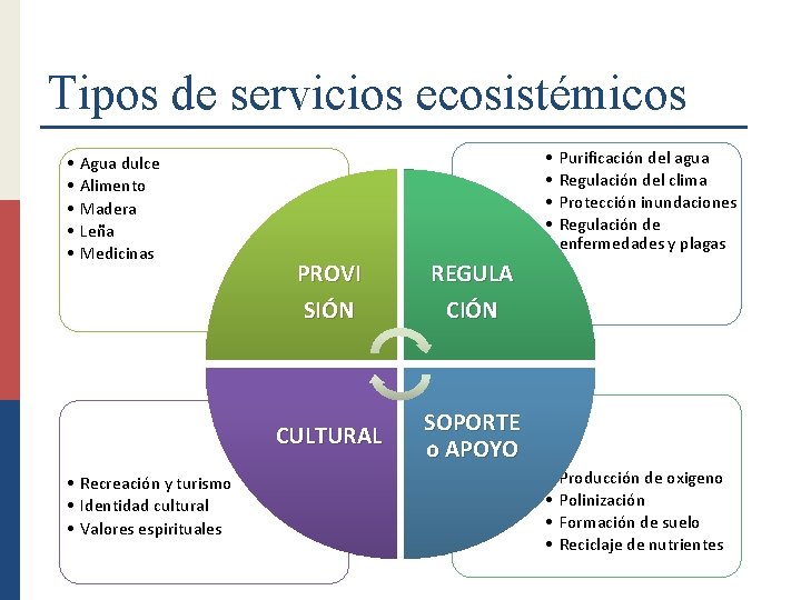 Tipos de servicios ecosistémicos • • • Agua dulce Alimento Madera Leña Medicinas •