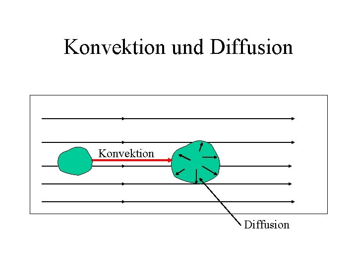 Konvektion und Diffusion Konvektion Diffusion 