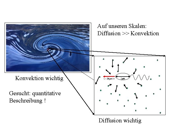 Auf unseren Skalen: Diffusion >> Konvektion wichtig Gesucht: quantitative Beschreibung ! Diffusion wichtig 