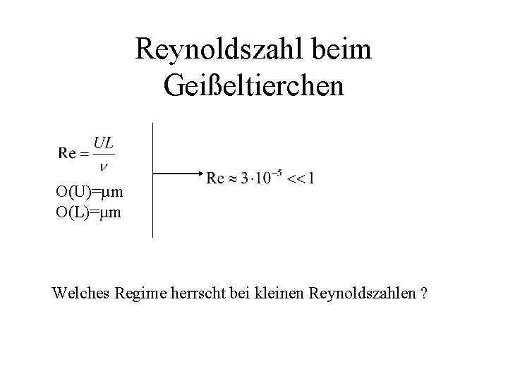 Reynoldszahl beim Geißeltierchen O(U)=µm O(L)=µm Welches Regime herrscht bei kleinen Reynoldszahlen ? 