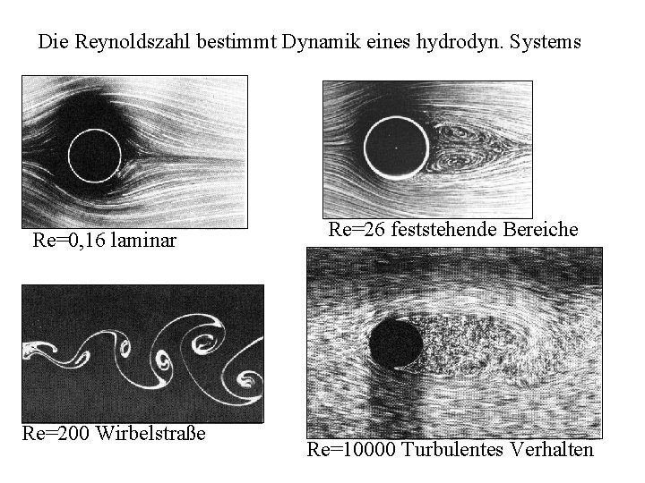 Die Reynoldszahl bestimmt Dynamik eines hydrodyn. Systems Re=0, 16 laminar Re=200 Wirbelstraße Re=26 feststehende