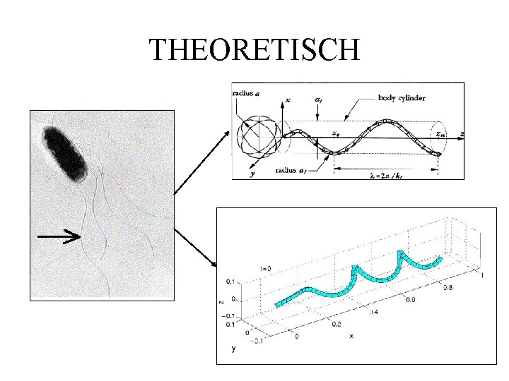 THEORETISCH 