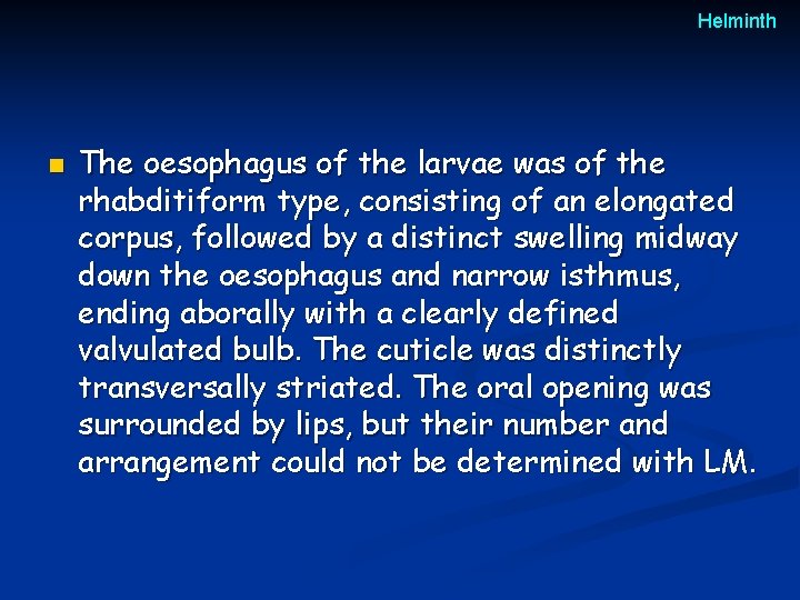 Helminth n The oesophagus of the larvae was of the rhabditiform type, consisting of Helminth n The oesophagus of the larvae was of the rhabditiform type, consisting of