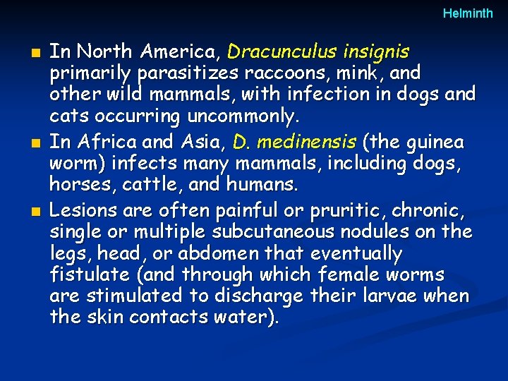 Helminth n n n In North America, Dracunculus insignis primarily parasitizes raccoons, mink, and Helminth n n n In North America, Dracunculus insignis primarily parasitizes raccoons, mink, and