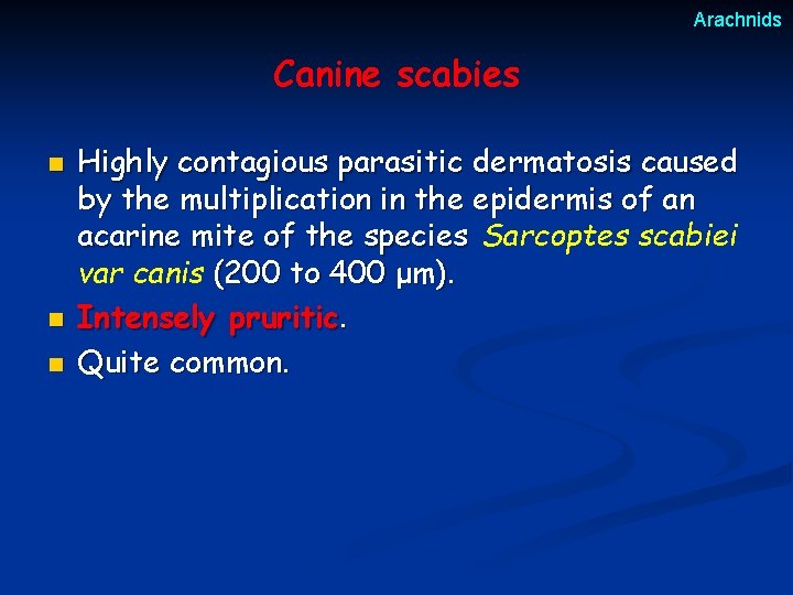 Arachnids Canine scabies n n n Highly contagious parasitic dermatosis caused by the multiplication Arachnids Canine scabies n n n Highly contagious parasitic dermatosis caused by the multiplication