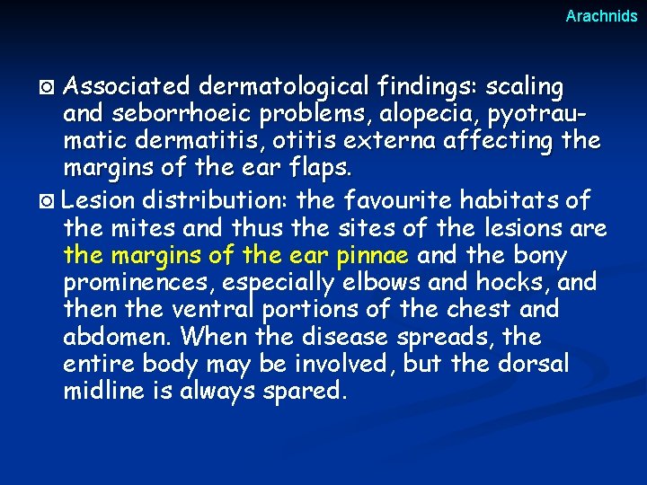 Arachnids ◙ Associated dermatological findings: scaling and seborrhoeic problems, alopecia, pyotraumatic dermatitis, otitis externa Arachnids ◙ Associated dermatological findings: scaling and seborrhoeic problems, alopecia, pyotraumatic dermatitis, otitis externa