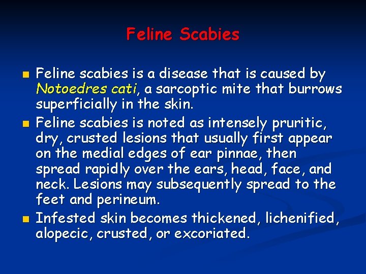 Feline Scabies n n n Feline scabies is a disease that is caused by Feline Scabies n n n Feline scabies is a disease that is caused by