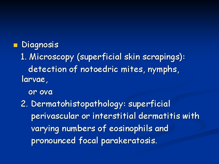 n Diagnosis 1. Microscopy (superficial skin scrapings): detection of notoedric mites, nymphs, larvae, or n Diagnosis 1. Microscopy (superficial skin scrapings): detection of notoedric mites, nymphs, larvae, or