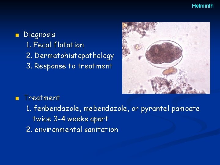Helminth n n Diagnosis 1. Fecal flotation 2. Dermatohistopathology 3. Response to treatment Treatment Helminth n n Diagnosis 1. Fecal flotation 2. Dermatohistopathology 3. Response to treatment Treatment