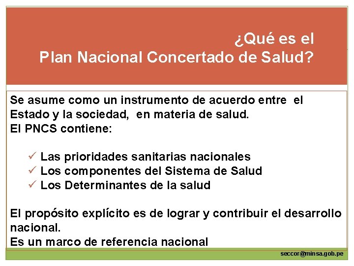 ¿Qué es el Plan Nacional Concertado de Salud? Se asume como un instrumento de