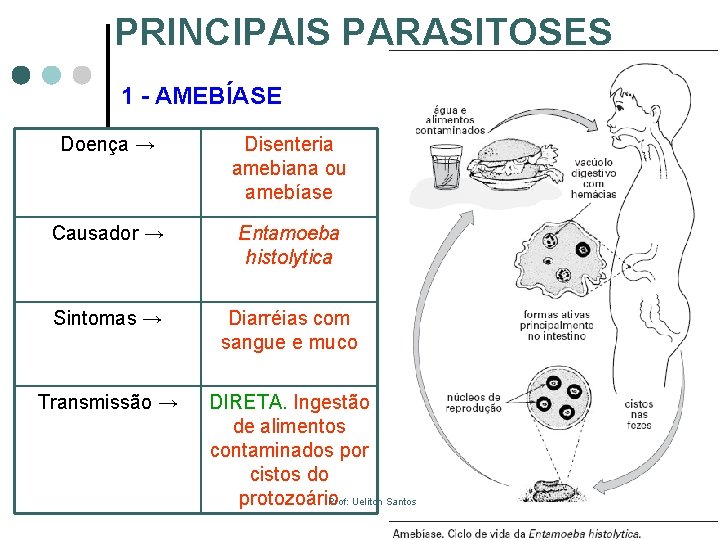PRINCIPAIS PARASITOSES 1 - AMEBÍASE Doença → Disenteria amebiana ou amebíase Causador → Entamoeba