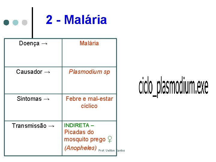 2 - Malária Doença → Malária Causador → Plasmodium sp Sintomas → Febre e
