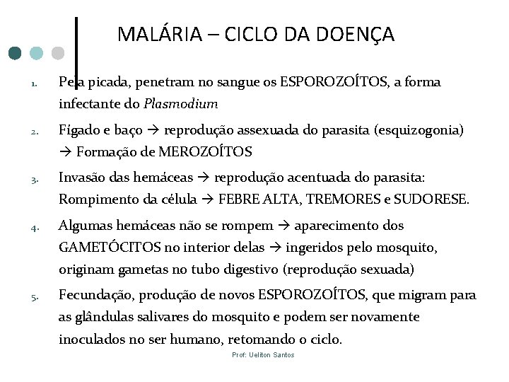 MALÁRIA – CICLO DA DOENÇA 1. Pela picada, penetram no sangue os ESPOROZOÍTOS, a