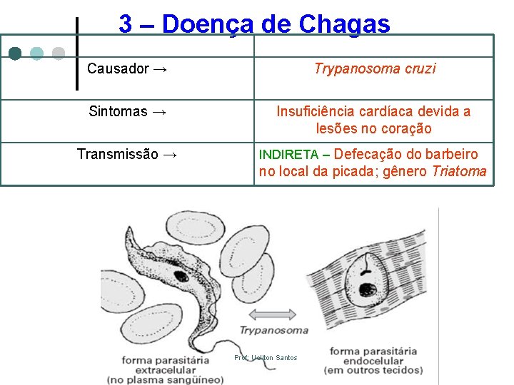 3 – Doença de Chagas Causador → Trypanosoma cruzi Sintomas → Insuficiência cardíaca devida
