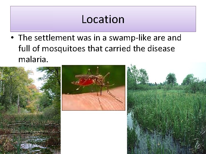 Location • The settlement was in a swamp-like are and full of mosquitoes that