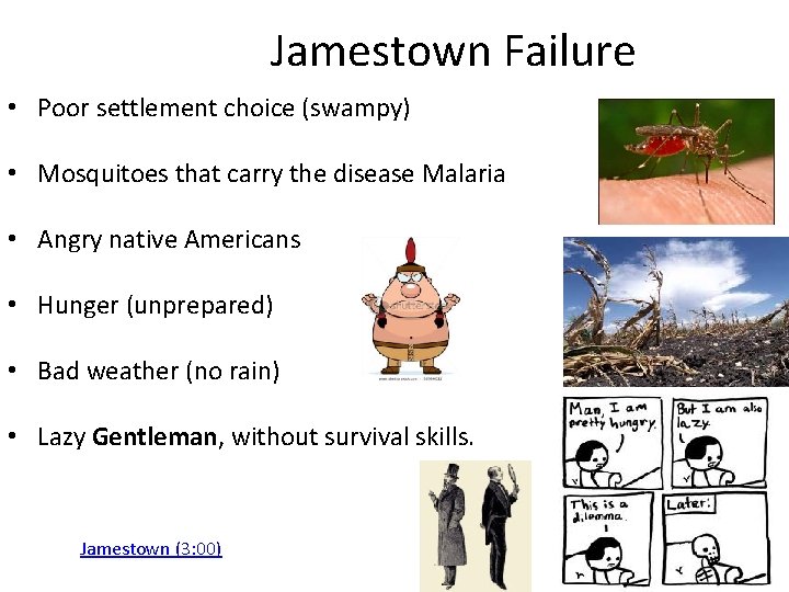 Jamestown Failure • Poor settlement choice (swampy) • Mosquitoes that carry the disease Malaria