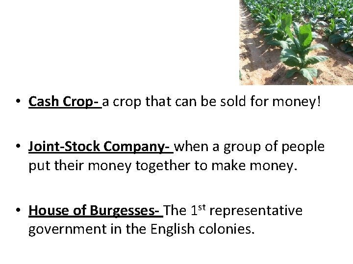  • Cash Crop- a crop that can be sold for money! • Joint-Stock