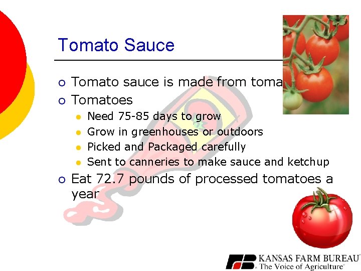 Tomato Sauce ¡ ¡ Tomato sauce is made from tomatoes Tomatoes l l ¡