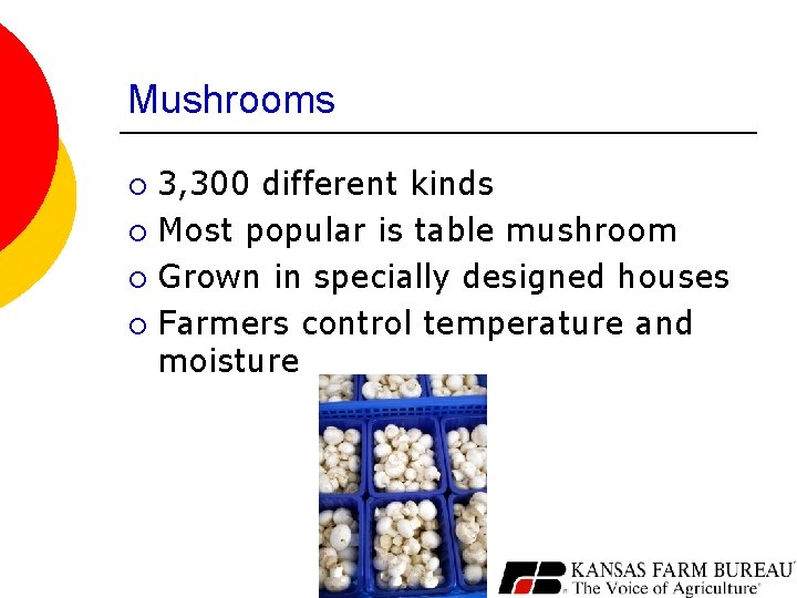 Mushrooms 3, 300 different kinds ¡ Most popular is table mushroom ¡ Grown in