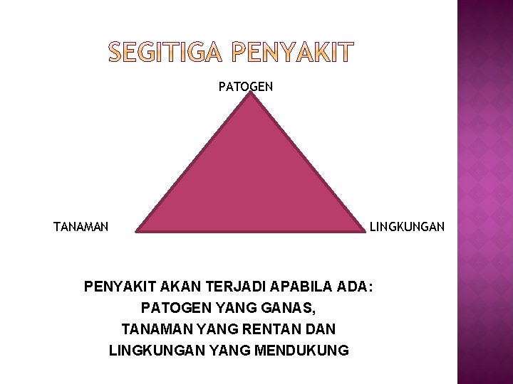 PATOGEN TANAMAN LINGKUNGAN PENYAKIT AKAN TERJADI APABILA ADA: PATOGEN YANG GANAS, TANAMAN YANG RENTAN