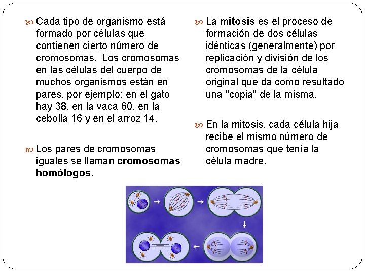  Cada tipo de organismo está formado por células que contienen cierto número de