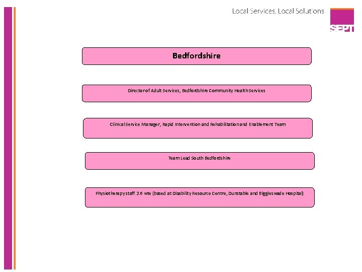 Bedfordshire Director of Adult Services, Bedfordshire Community Health Services Clinical Service Manager, Rapid Intervention