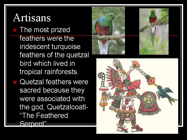 Artisans n n The most prized feathers were the iridescent turquoise feathers of the
