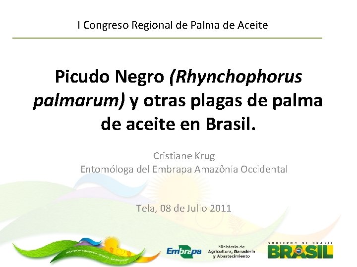 I Congreso Regional de Palma de Aceite Picudo Negro (Rhynchophorus palmarum) y otras plagas