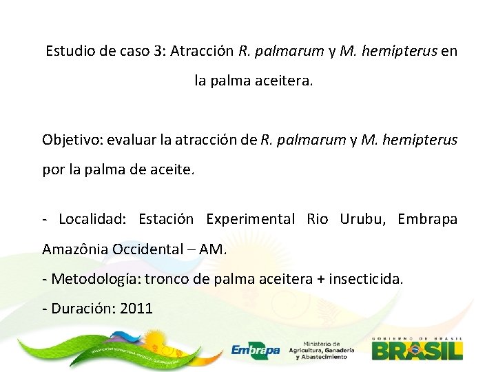 Estudio de caso 3: Atracción R. palmarum y M. hemipterus en la palma aceitera.